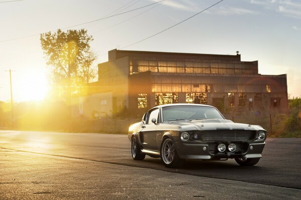 Brutal Ford Mustang in the rays of the sun