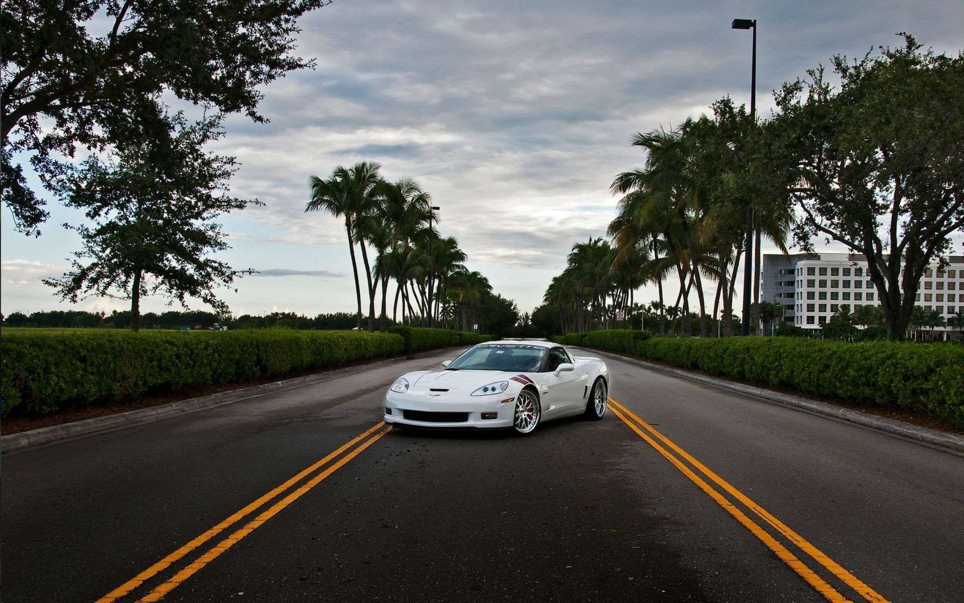 z06 coche diversión fresco corvette mig-29