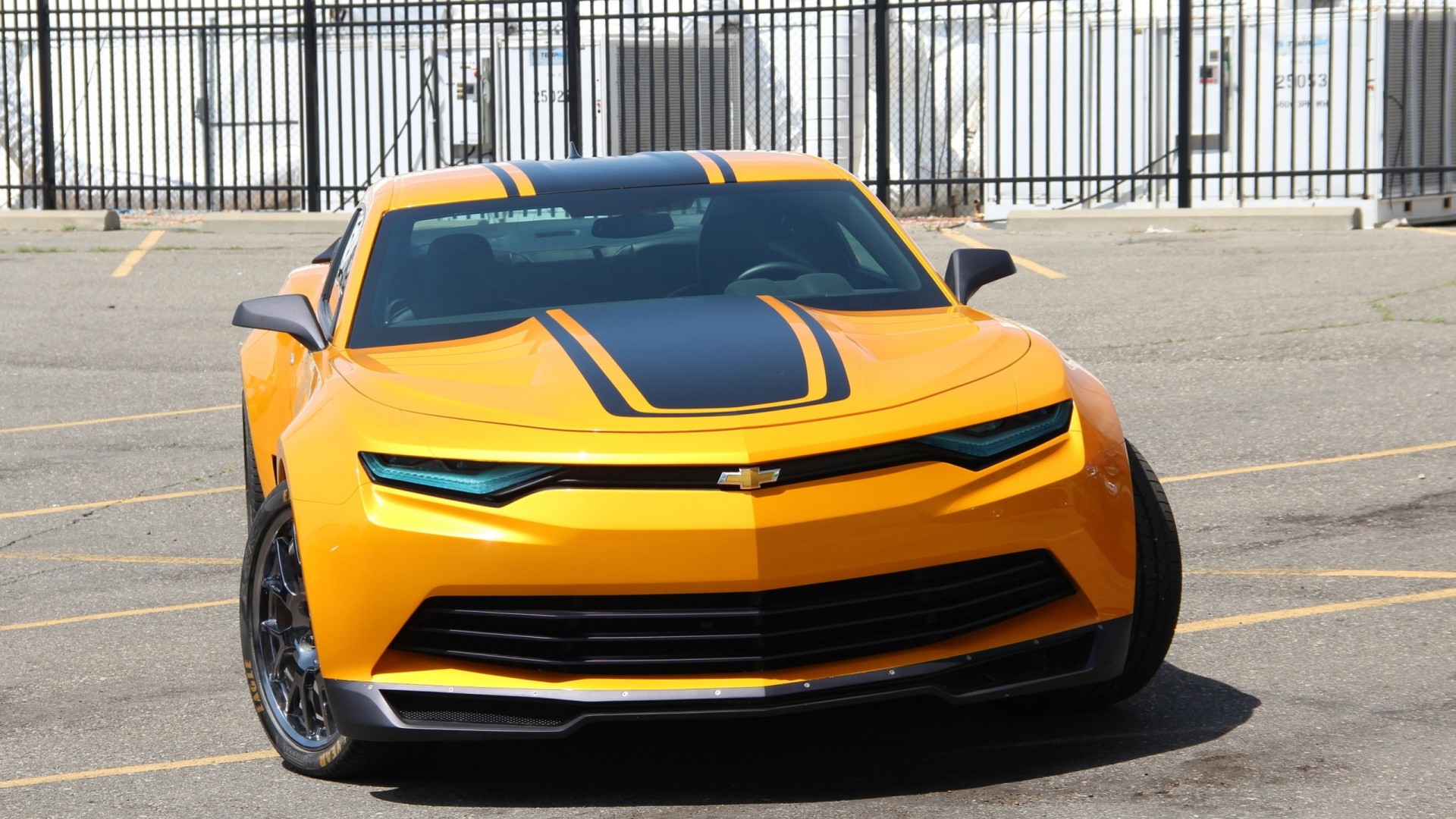 heißer camaro camaro süßer camaro