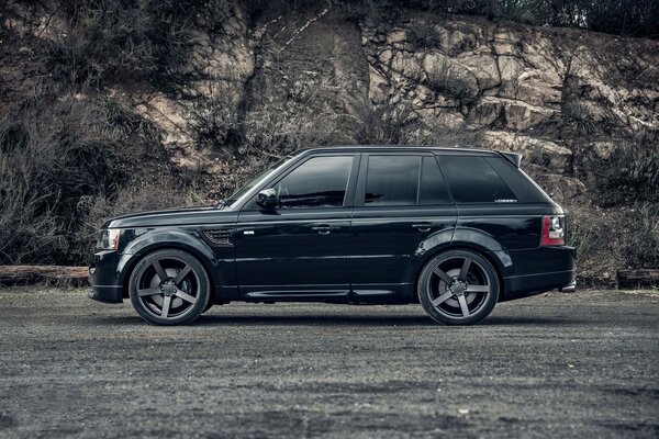 A black car stands against a background of bushes