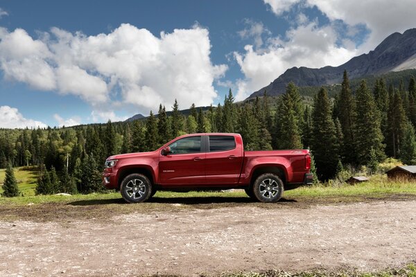 Camion pick-up classique pour la campagne