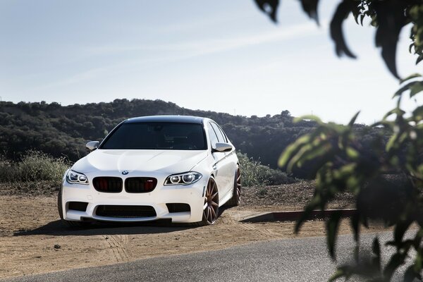 Bmw M5 F10 blanco vista frontal