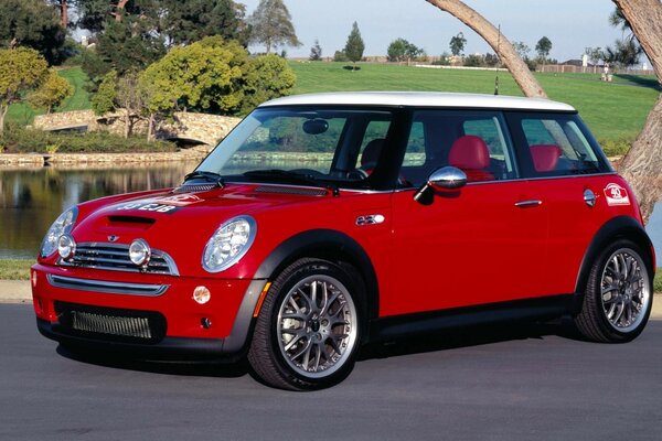 Mini-voiture rouge pour femme réussie