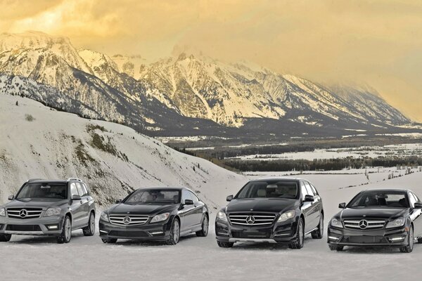 Mercedes Benz alineación de modelos en las montañas