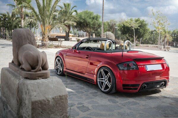 Audi TT on the background of a beautiful landscape