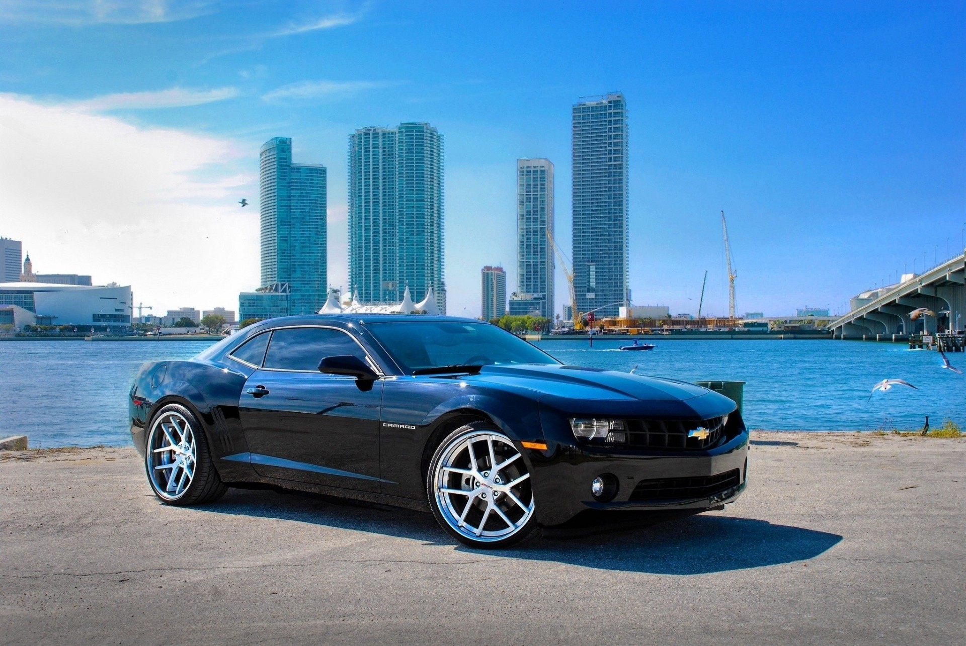 camaro ss chevrolet camaro ss noir corvette chevrolet