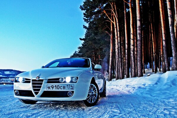 Alfa Romeo w zaśnieżonym lesie