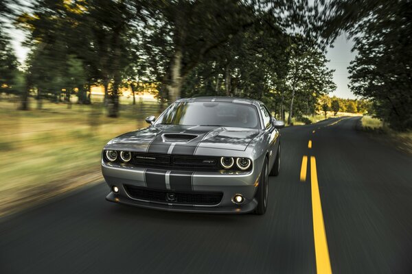 The grey challenger rushes along the road