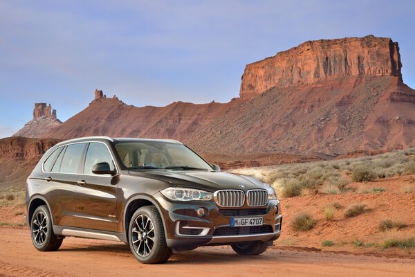 Crossover BMW X5 xDrive50i nel deserto