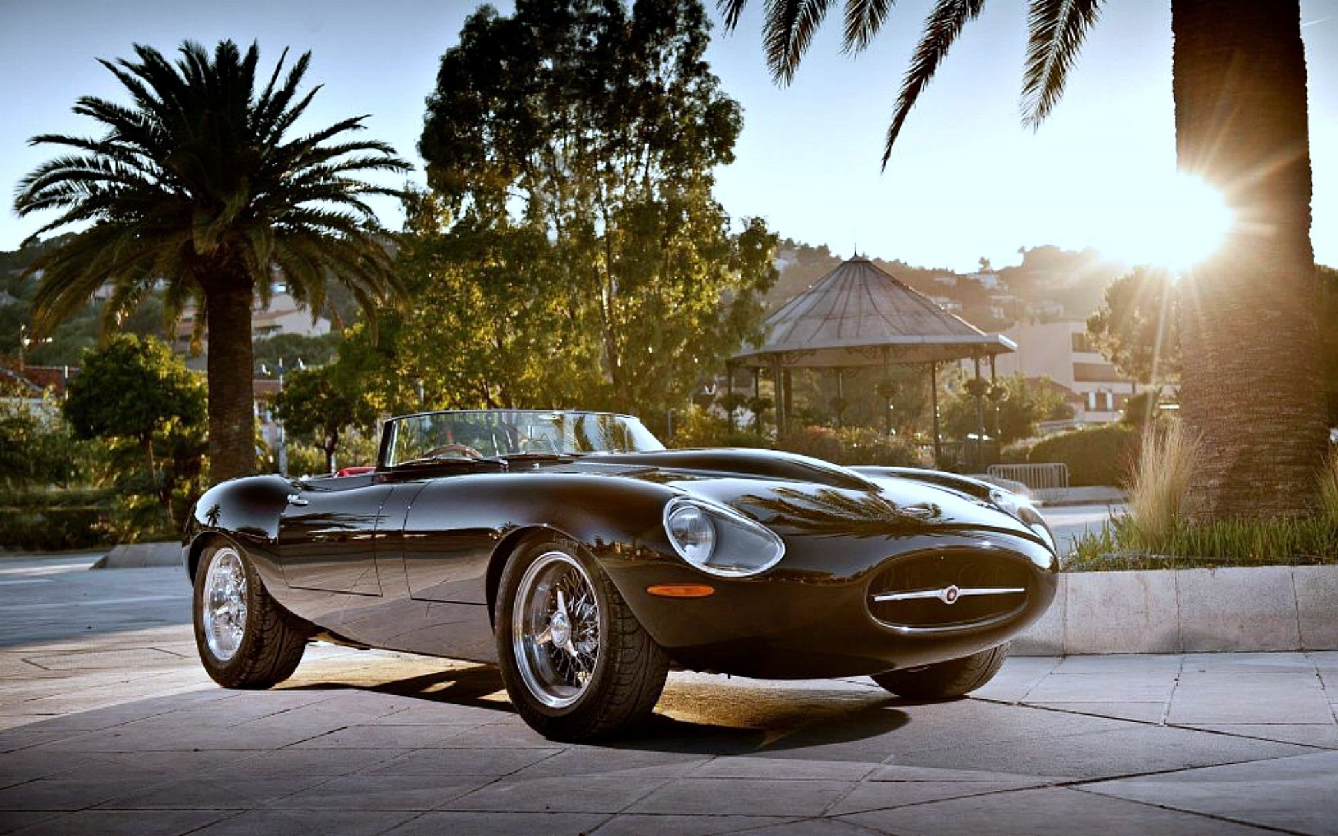 jaguar nero palme automobili