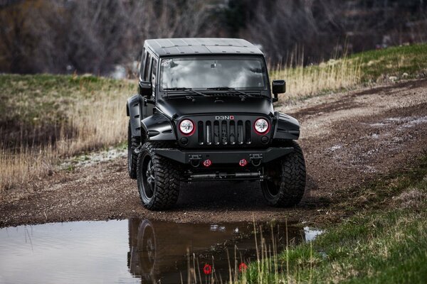 Black SUV in a wooded area