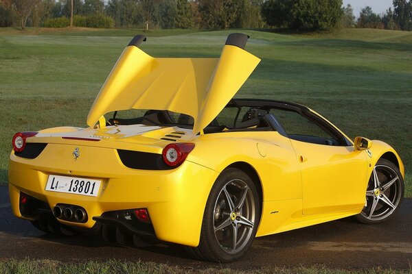 Ferrari descapotable amarillo en el campo