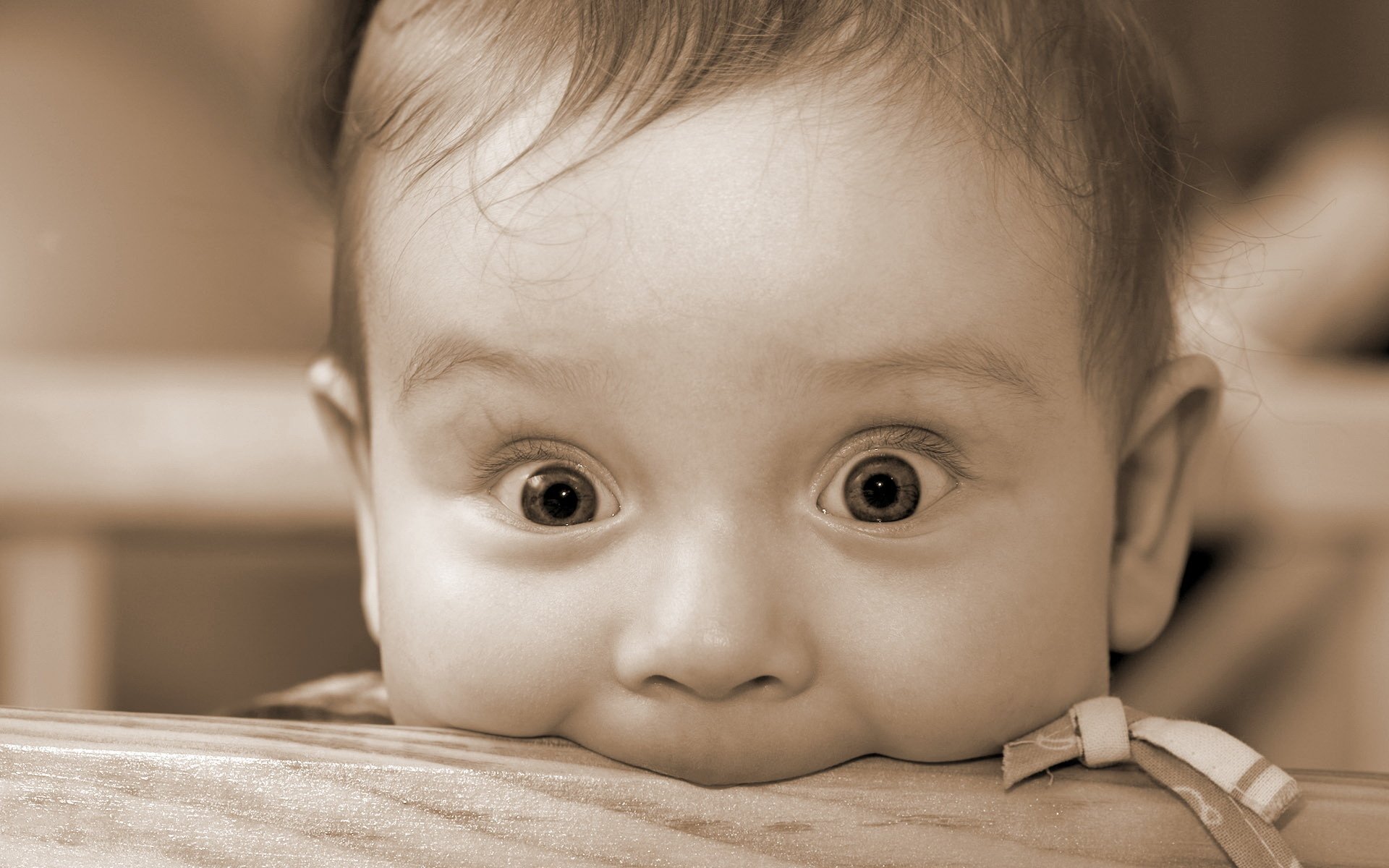 mirada asombrosa niño mordedura retrato mirada ojos cara niño foto ojos migaja