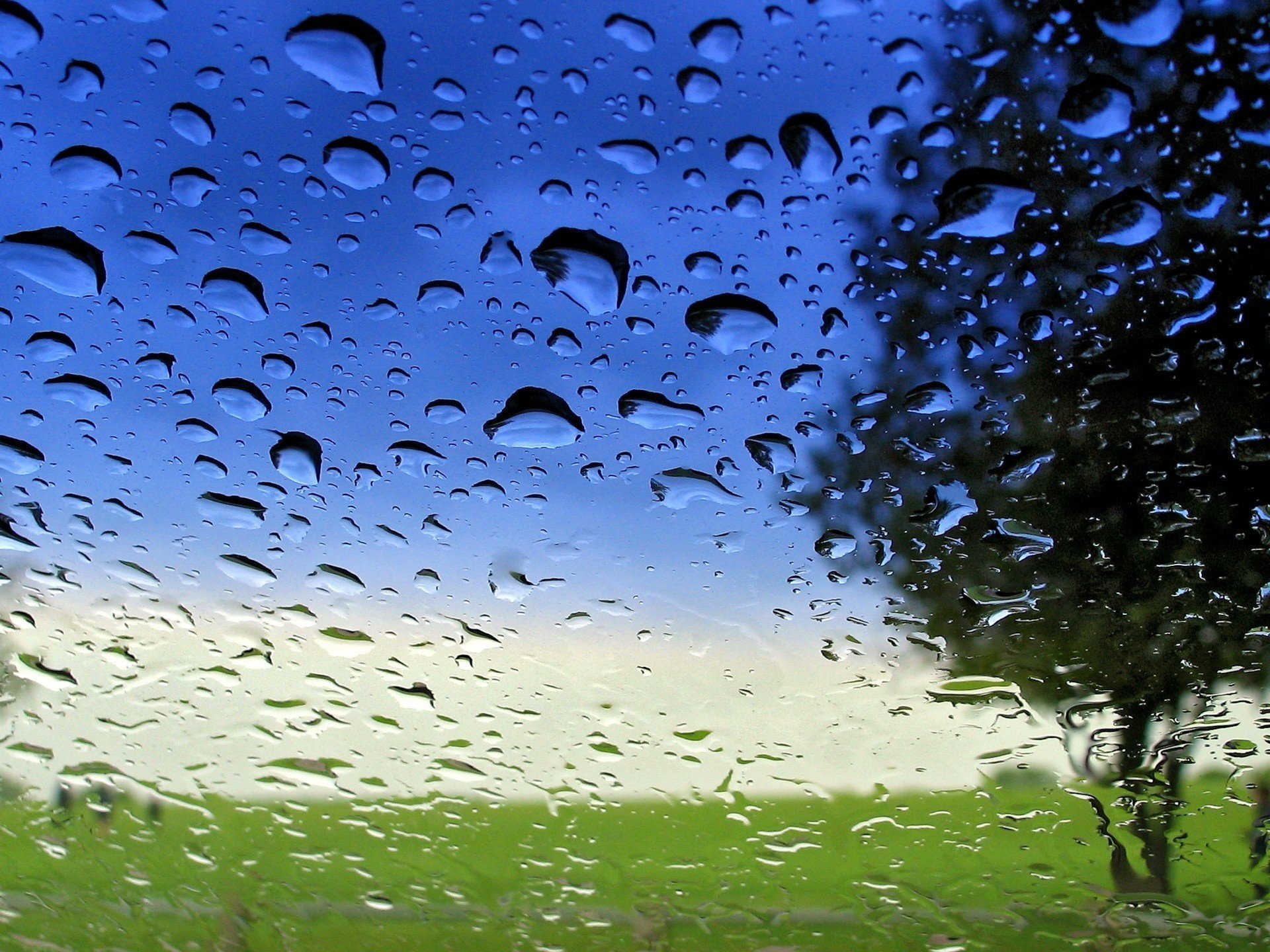 natura albero vetro goccioline