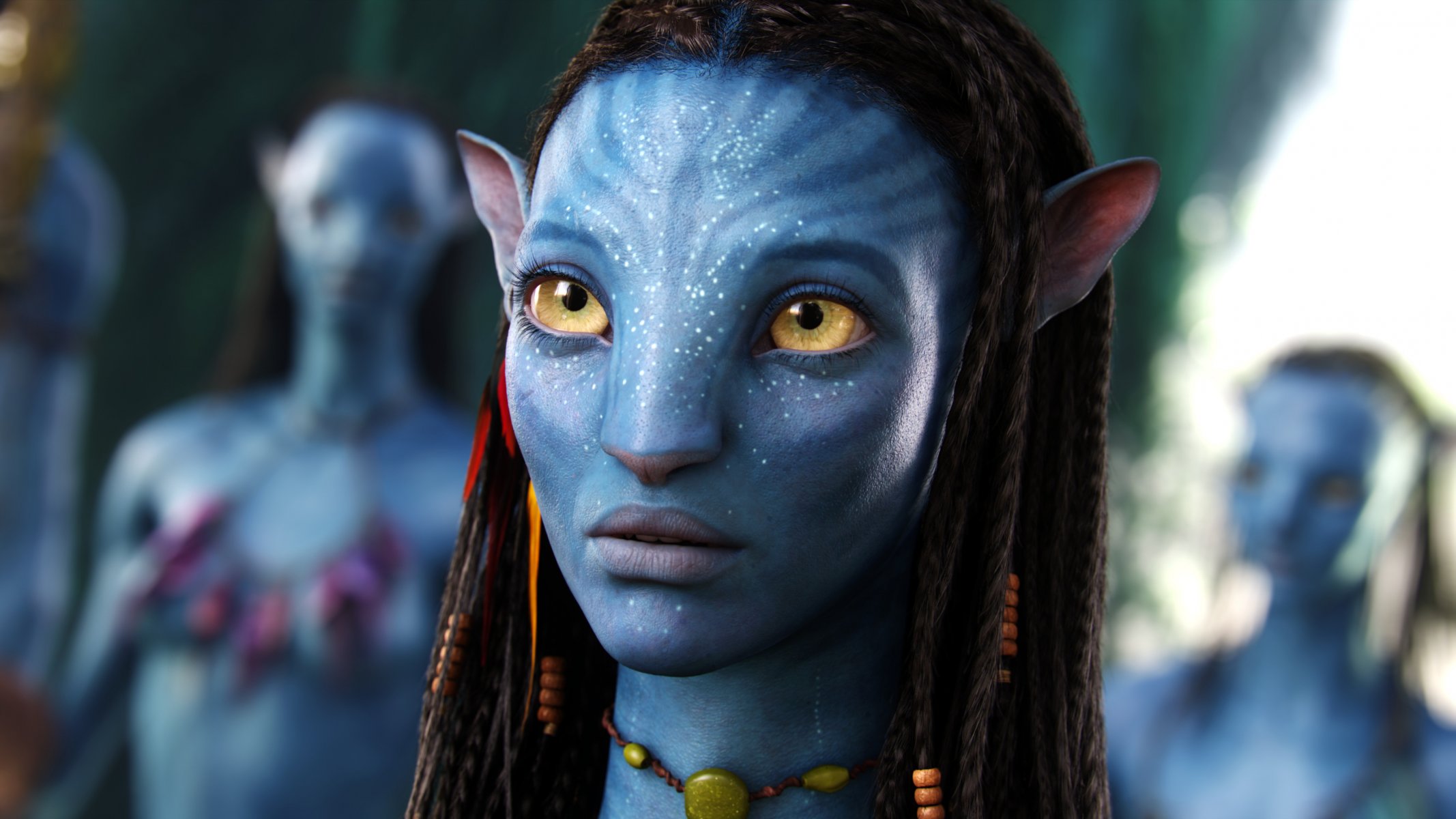 the war for the land the blue color of the skin avatar fiction movie