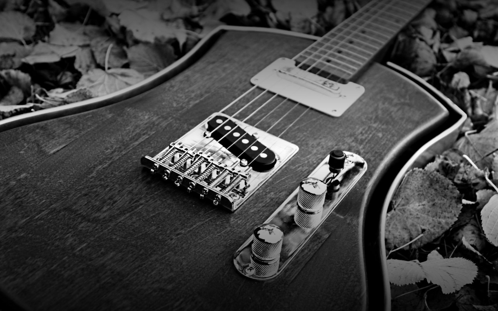 se encuentra en el follaje guitarra cuerdas instrumentos musicales guitarra eléctrica