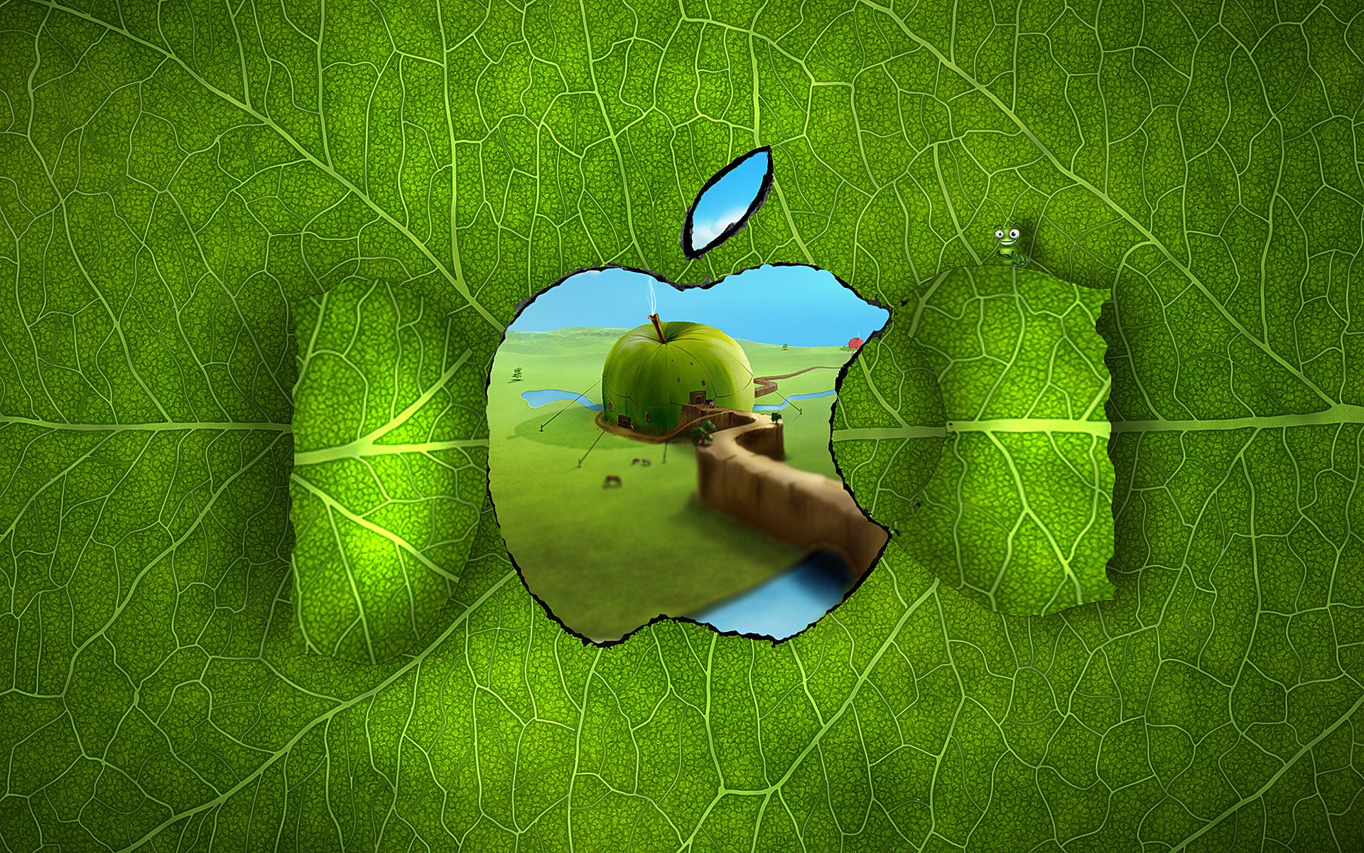 apple sheet streaks window house caterpillar green rope