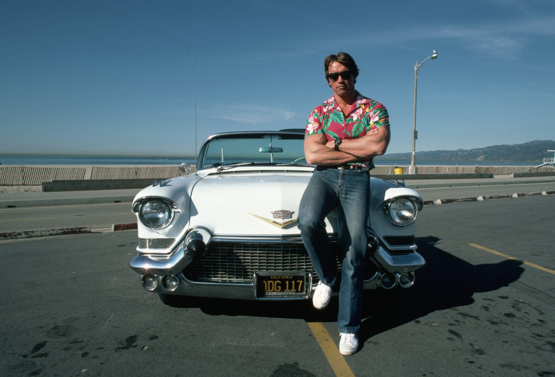 arnold schwartz negger schwarzenegger camisa de color kaa coche fresco día soleado coches guapo gafas jeans pose coche blanco convertible sombra pista coche reloj coches vehículos auto jock