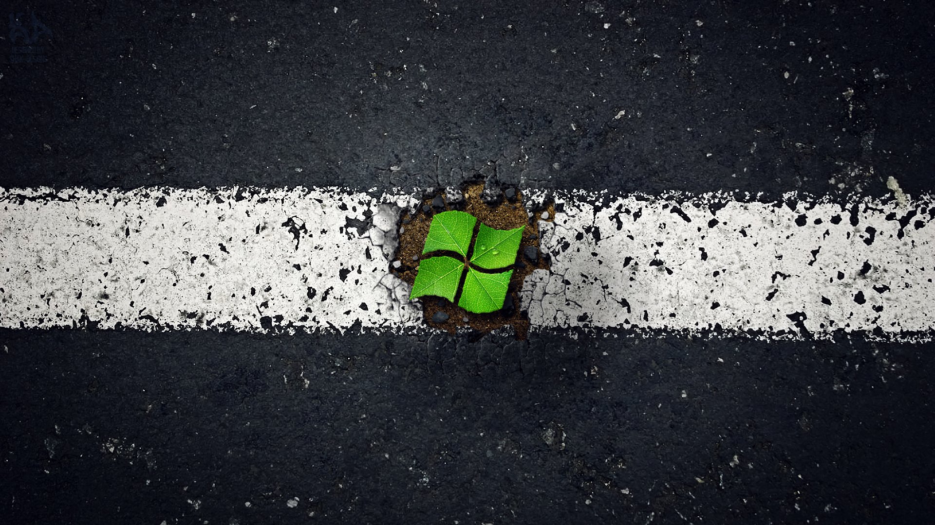 windows microsoft leaves asphalt