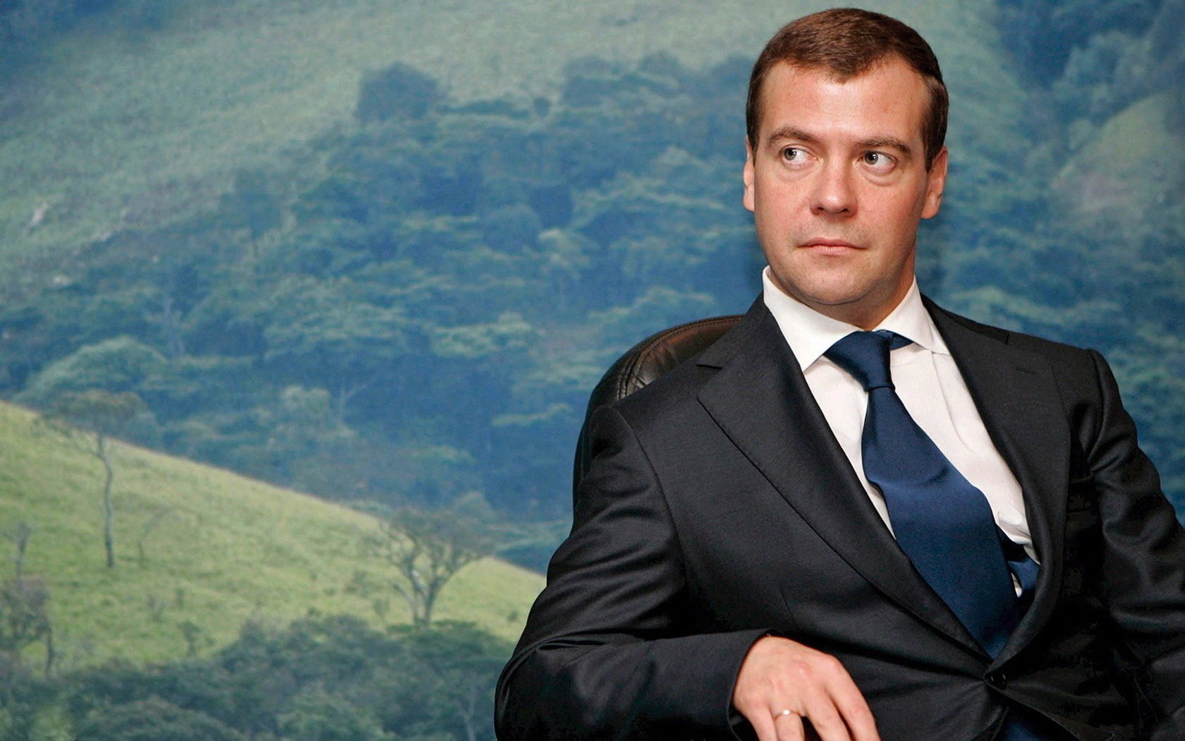 dmitry medvedev president nature portrait look policy eyes face medvedev