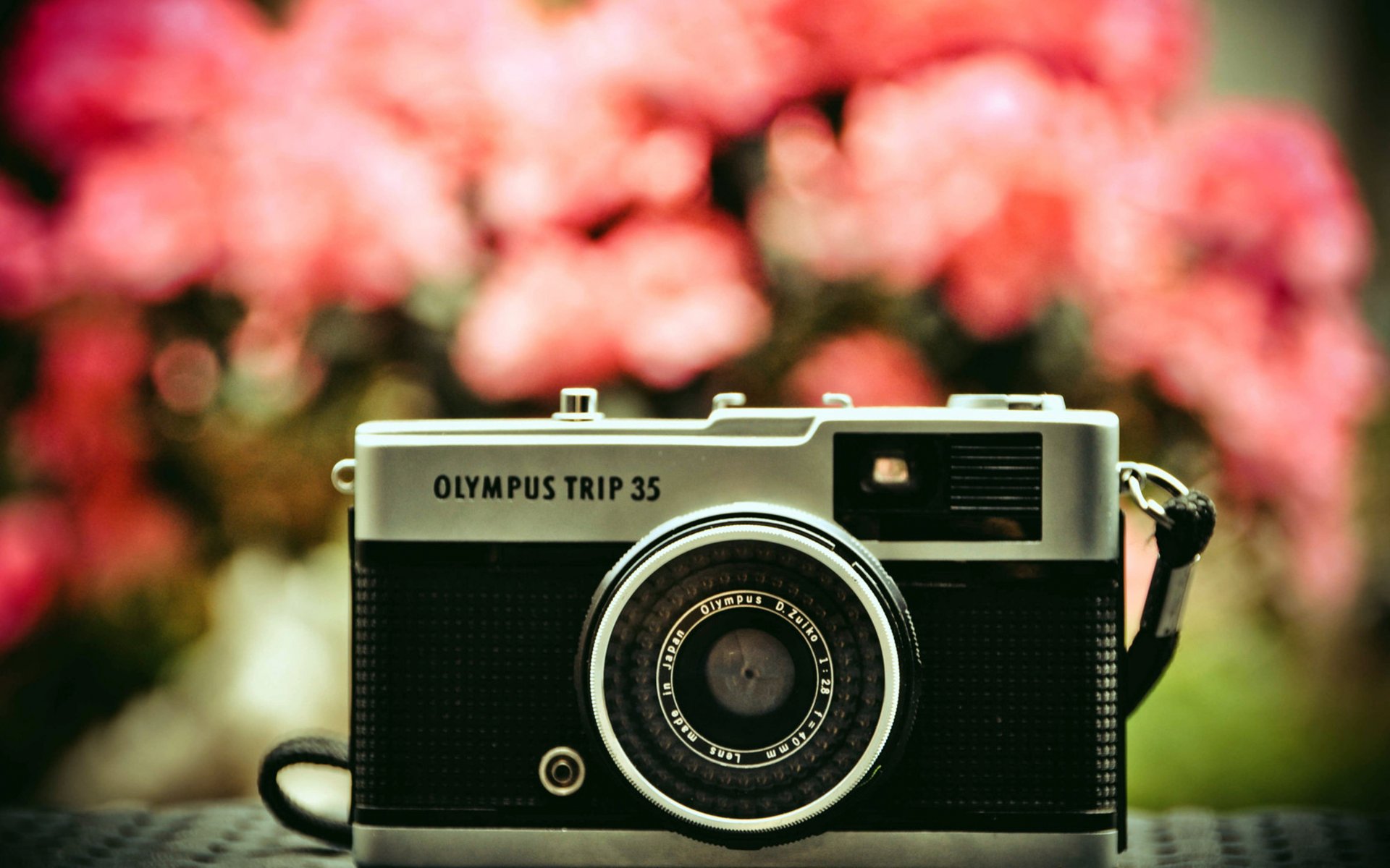 a camera olympus lens nature flower close up