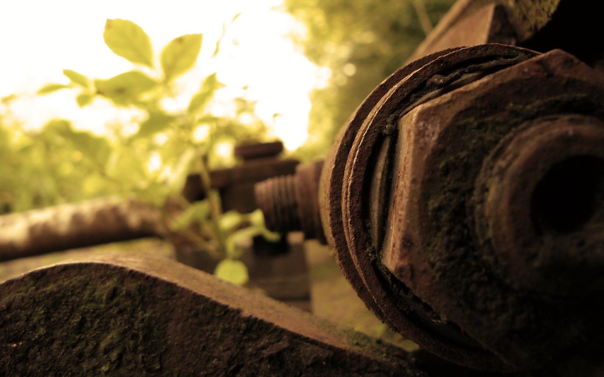 rostenie pipe rust grass iron earth leaves the sky macro