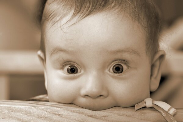 Cute baby is gnawing on the bed