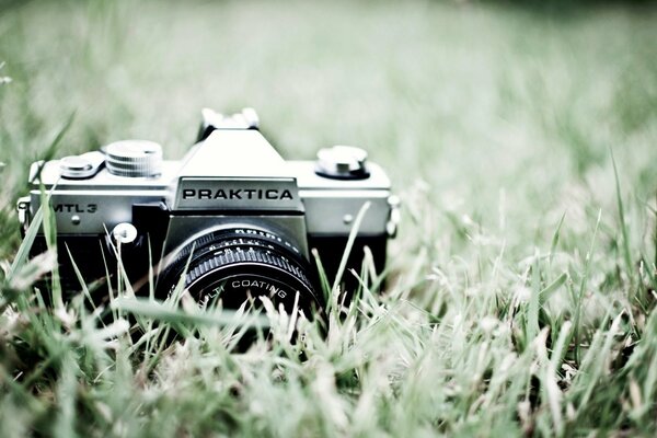 Camera in the park on the green highway