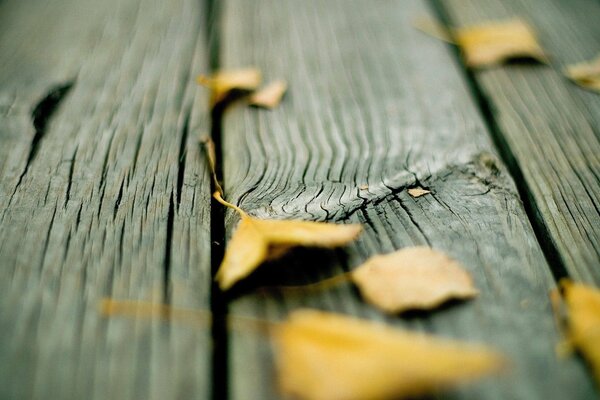 Fondo hojas amarillas de otoño en tablas de madera