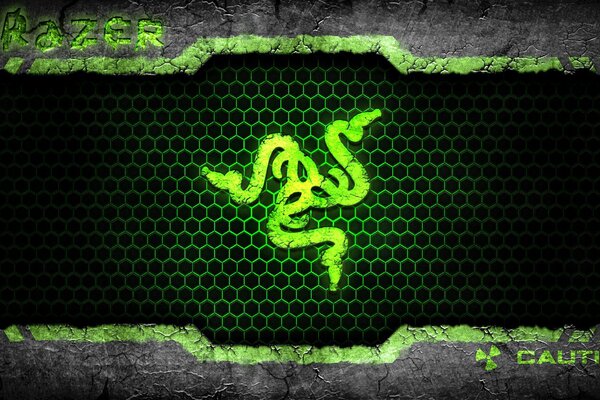 Green snake icon on black background