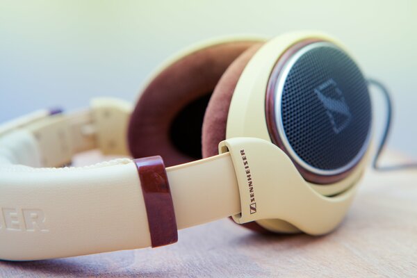 Casque Hi-tech Sennheiser hd598 sur le bureau