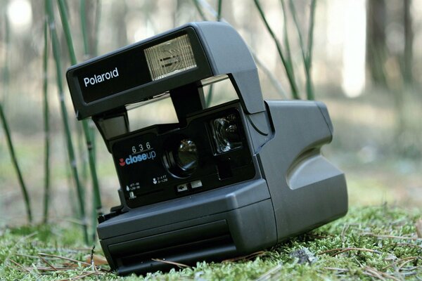 The camera lying in the forest against the background of grass and trees