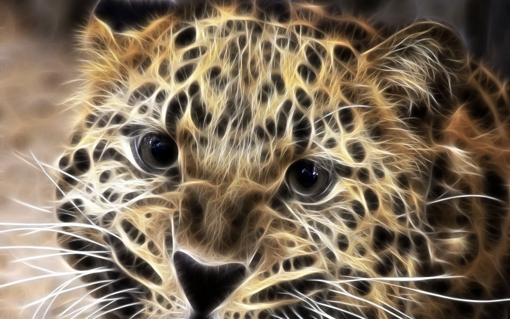 katzenaugen raubtier leopard tiere raubtiere aussehen katzenaugen augen makro