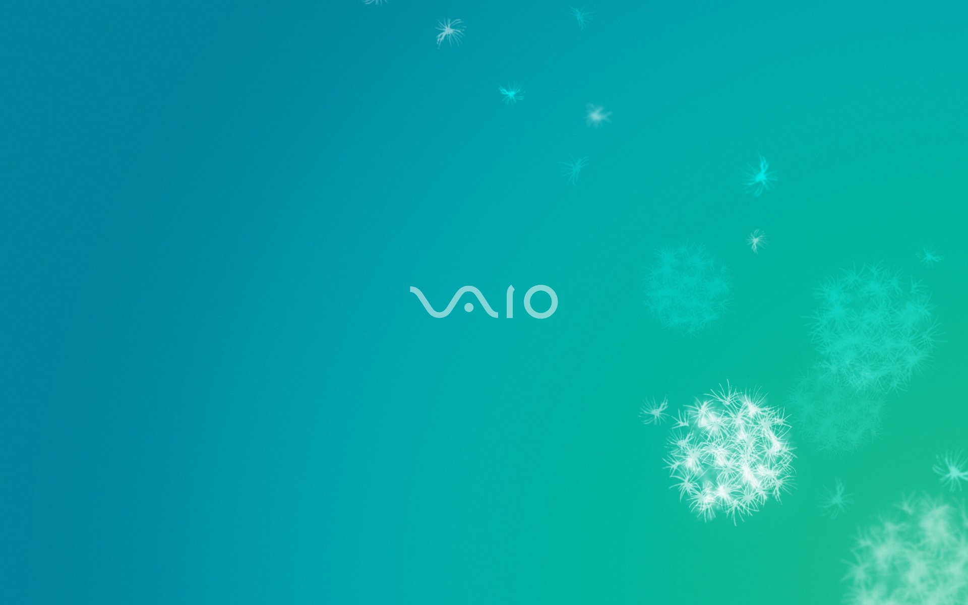 vaio фон одуванчики