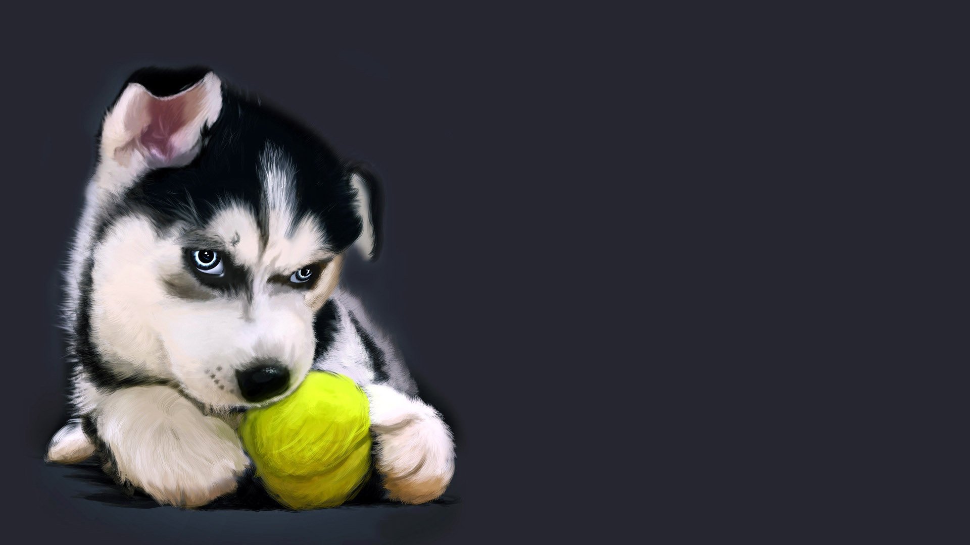 palla di filo cucciolo husky disegno cani cuccioli sguardo palla gioco sfondo