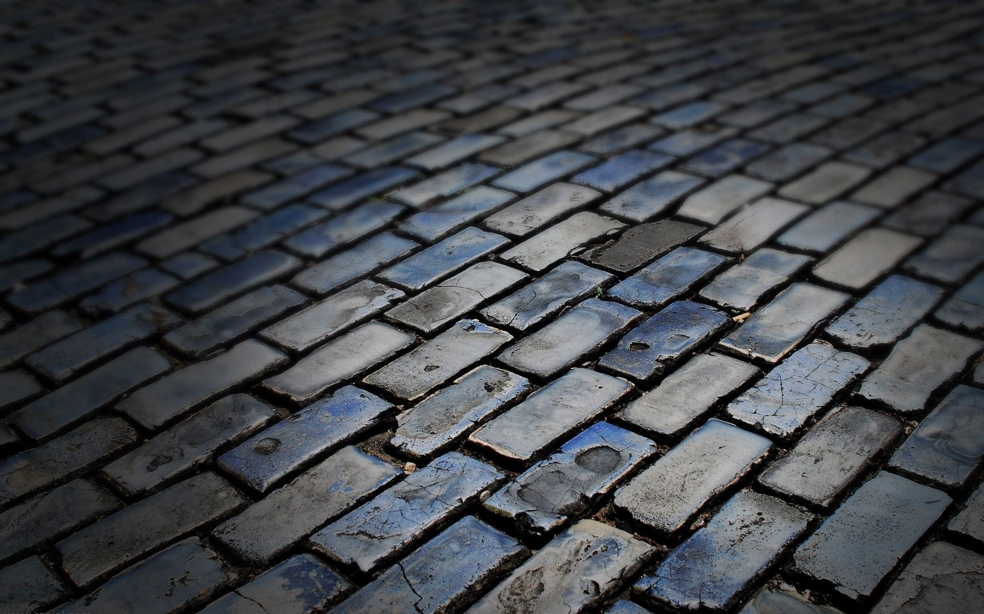 camino adoquines piedras