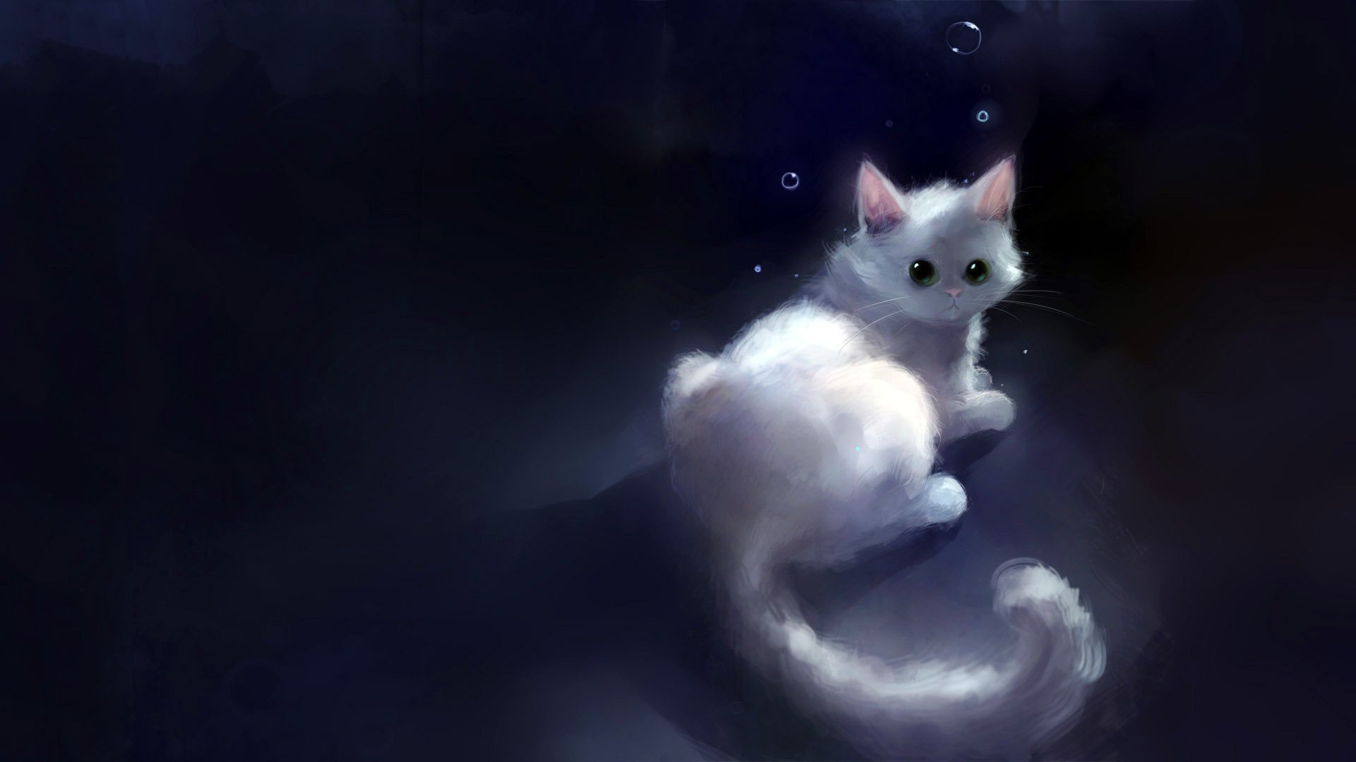 gattino bianco bolle grigio animali sguardo gatto occhi sfondo scuro disegno gattino orecchie coda