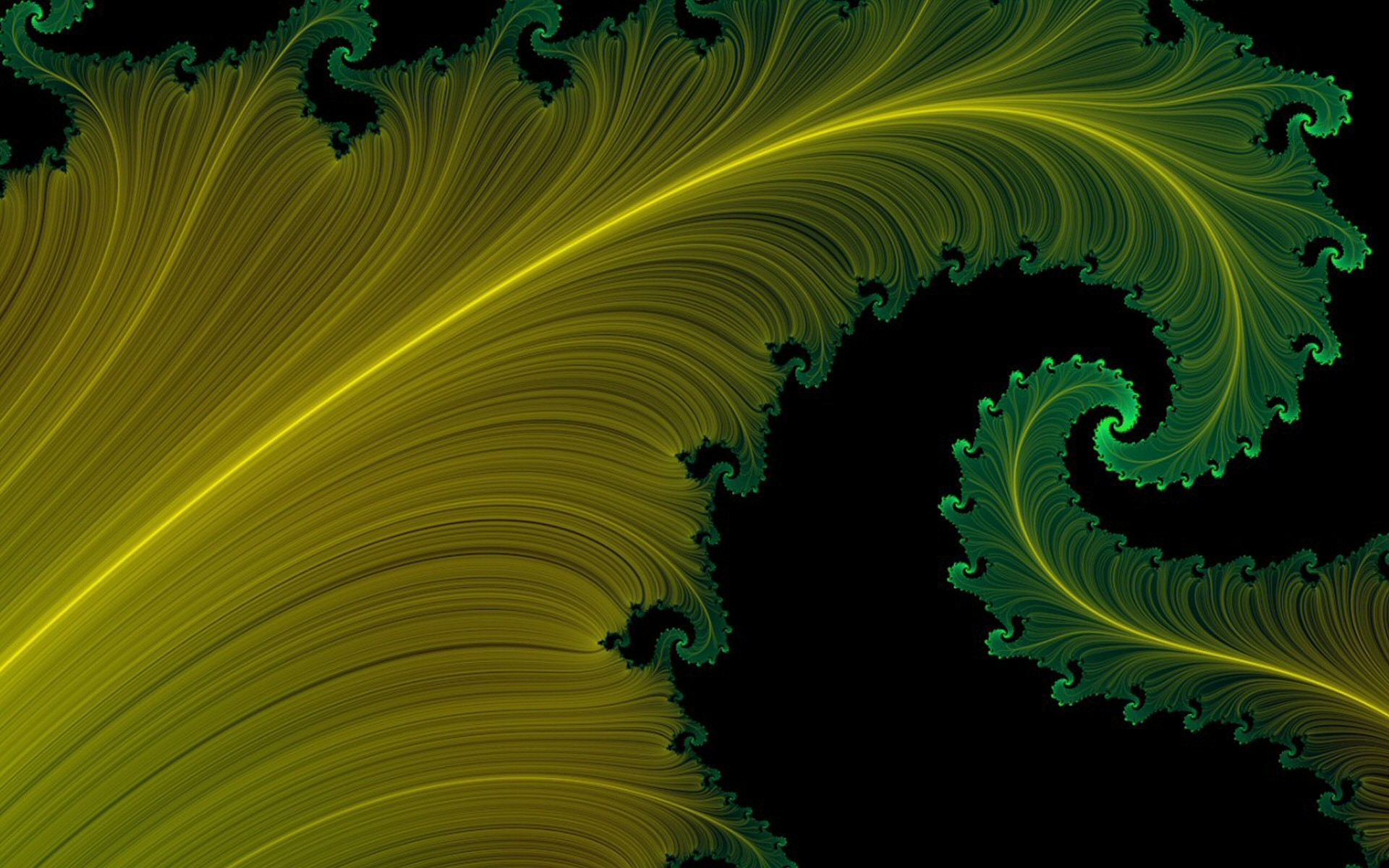 fractal verde amarillo divorcios