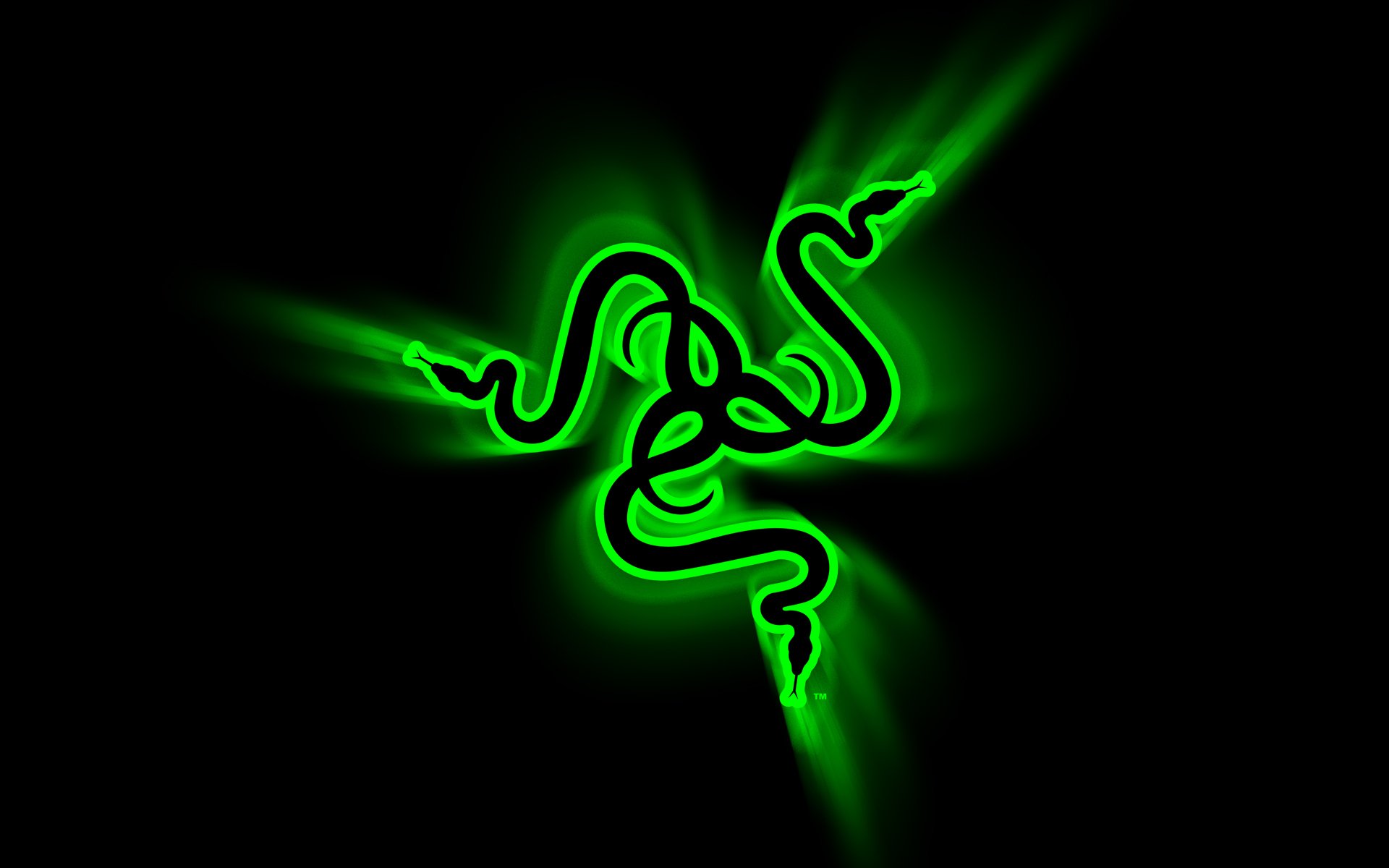 razer grün schwarz logo