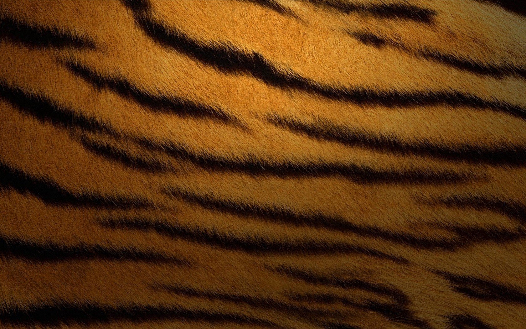 schwarze streifen tiger haut