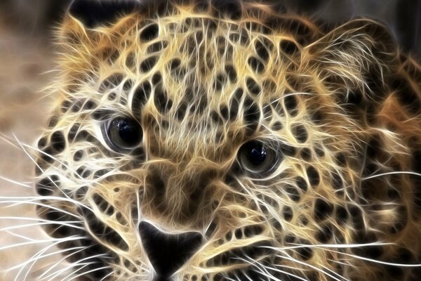 Cat s eyes of a predatory leopard beast