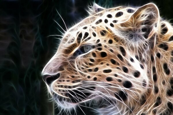 Stylized treatment of a leopard predator