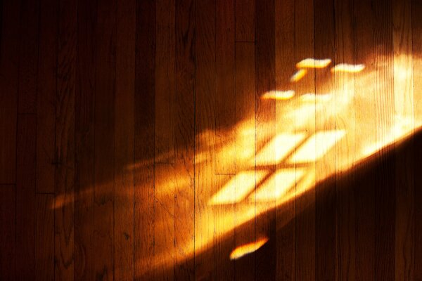 The play of light on the laminate floor