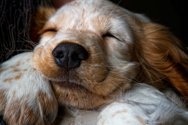 Cute sleeping baby face