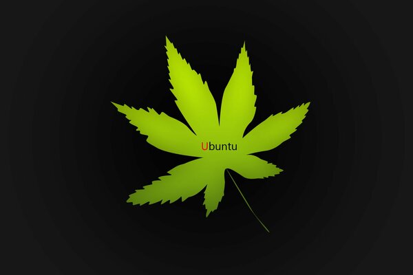 A minimalistic ubuntu green leaf on a black background