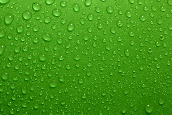 Water droplets on a green background