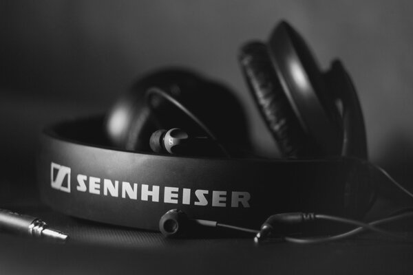 Los auriculares sennheiser HD 205 sobre un fondo blanco y negro se encuentran