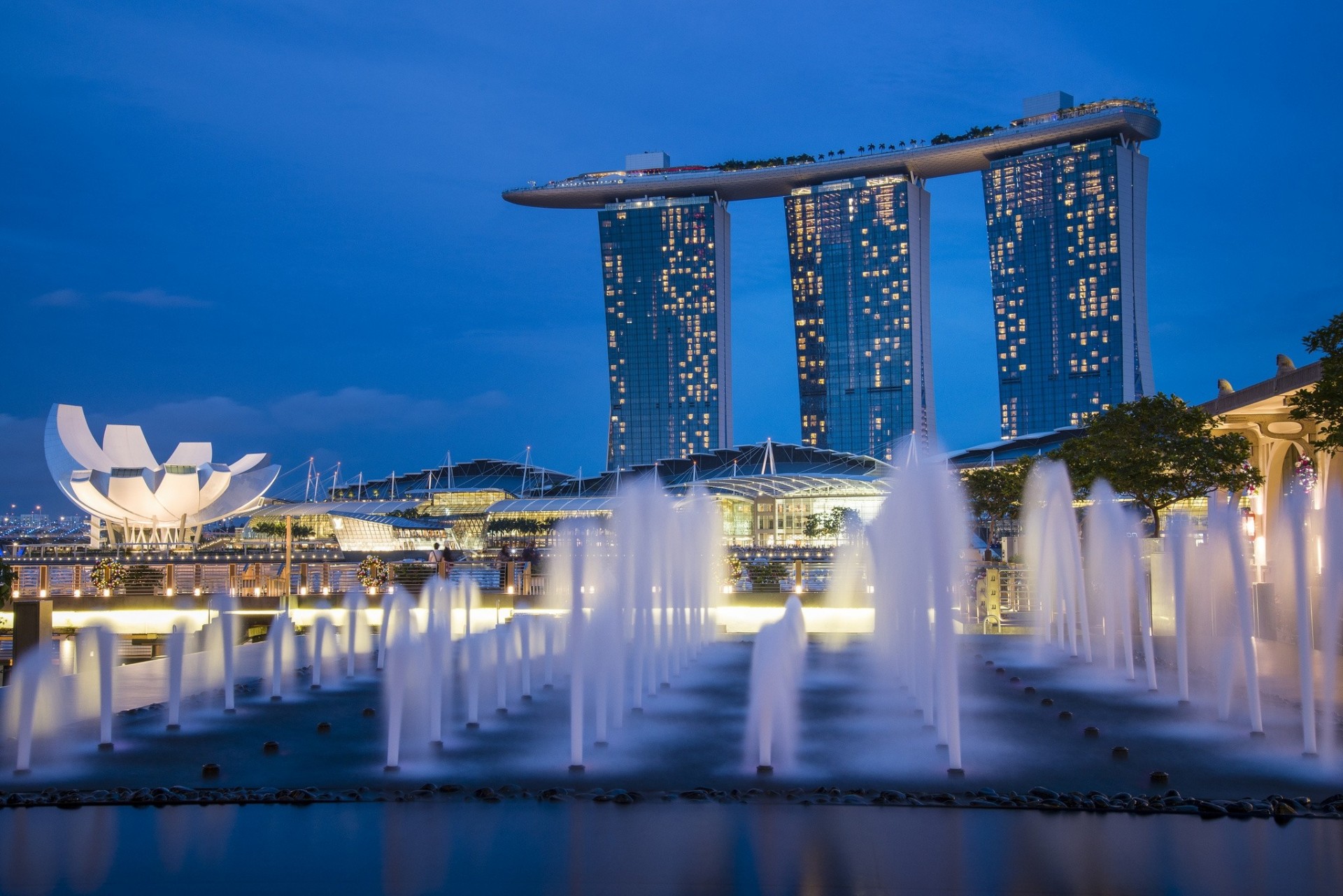 cielo luces rascacielos noche azul singapur árboles metrópolis arquitectura luces fuentes ciudad-estado iluminación