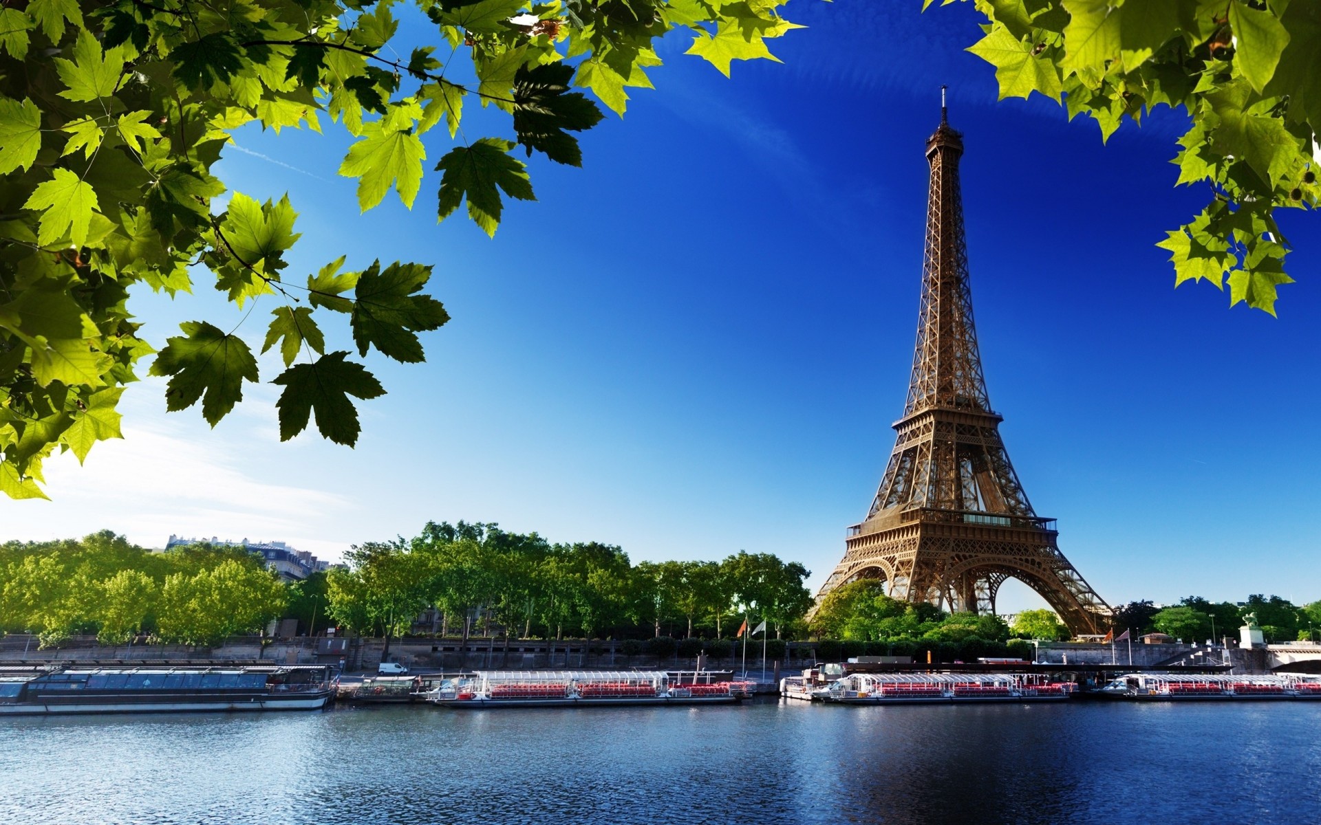 rivière france paris arbres tour eiffel rive