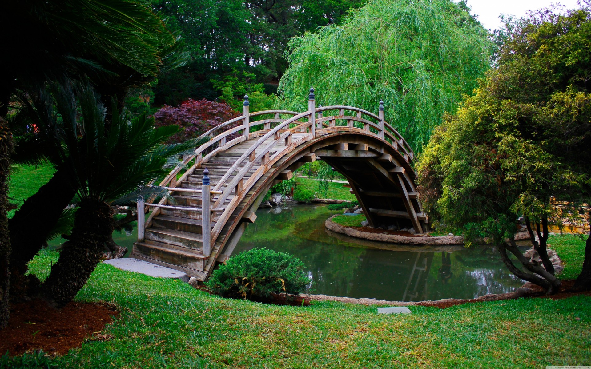 ponte stagno giapponese giardino giappone